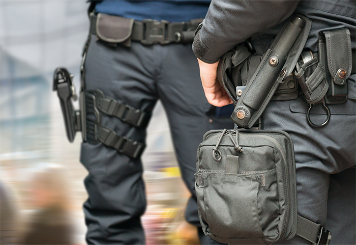 Federal Law Enforcement