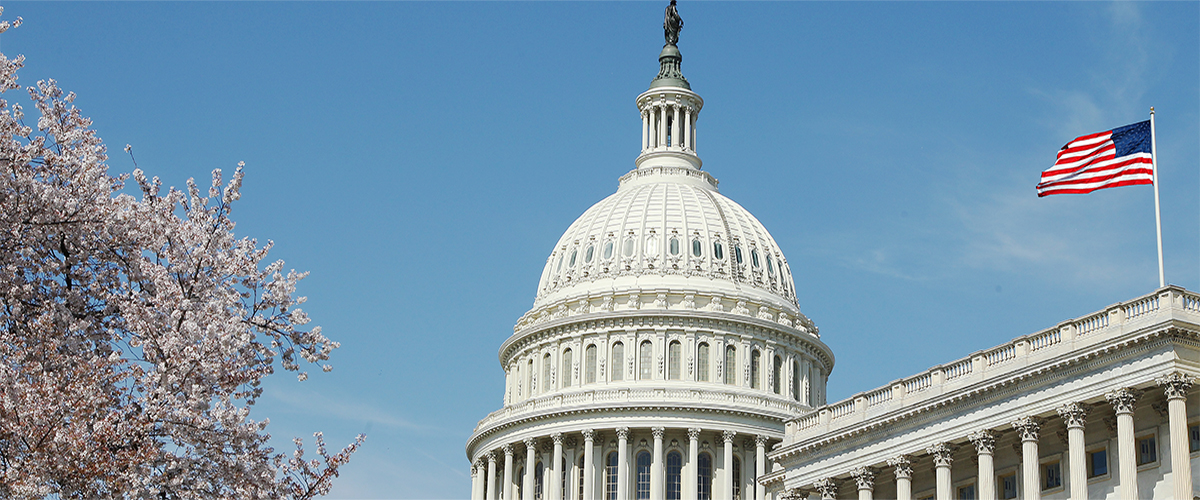 Federal Indentity Solutions